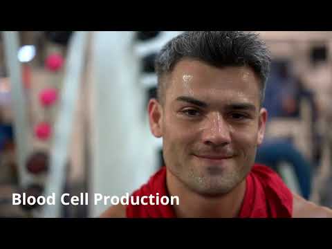 OCR GCSE PE Functions of the Skeletal System