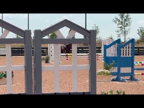AVIATOR video 1