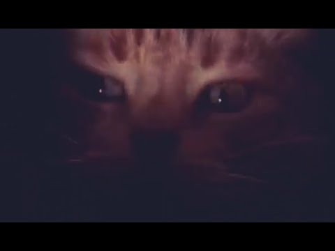 Unknown Artist - S003 (ZC-303002 - Zodiak Commune Records)