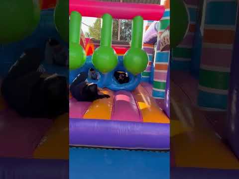 Video 4