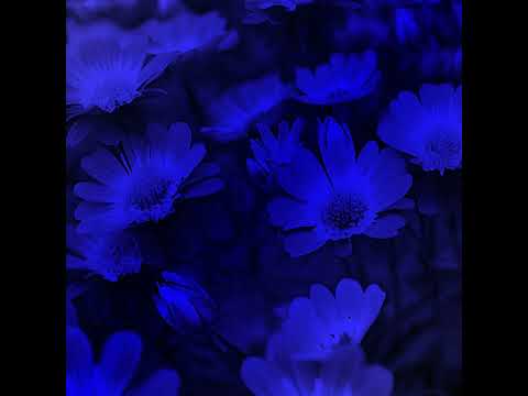 Dark Beach -2 Slowed Remix