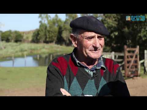 UTE RAÚL RUBIO   ARÉVALO