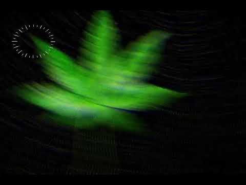 TRAP SOUL EDGAR DOMINGOS X PRODIGIO PROD TODAS TIAS