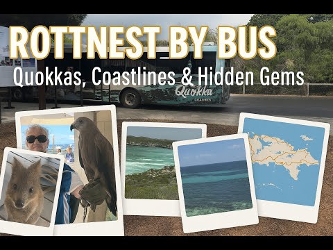 Is the Rottnest Explorer Bus Worth It? Scenic Stops & Tips