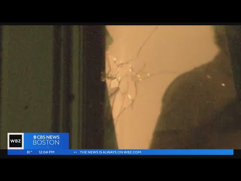 Roxbury shooting leaves a neighborhood frustrated by violence