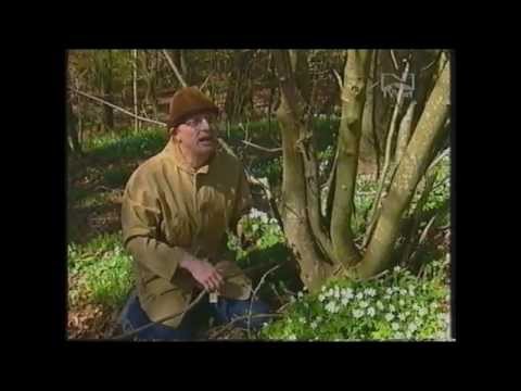 Dag Schreiner møter Lærer Gundersen