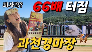 Let's Run Park in Gwacheon, Seoul Racecourse, a Unique Date | Horse Racing Betting Tips 🏇 | A Beg...