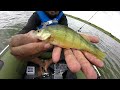 Video Thumbnail for Fishing in our Tobin Sport Canyon Pro Boat - Tons of perch (part 1)