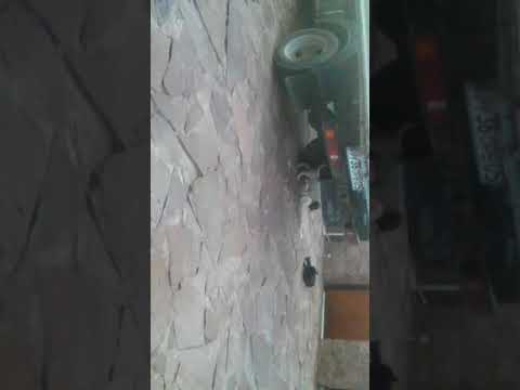 14 декабря 2019 г.