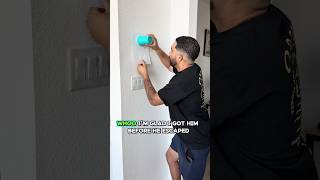Download lagu Bug jumped on his face #shorts mp3 Download lagu Bug jumped on his face #shorts mp3