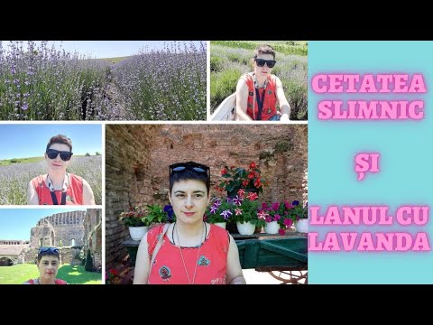 Travel vlog:Vizitând Cetatea Slimnic,Stolzenburg și lanul de lavanda Mândra #cetateaslimnic #lavanda