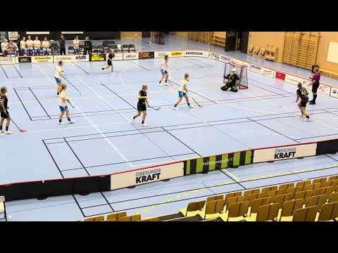 Highlights på ÅKIBS Dam JAS båda mål mot CL91C 