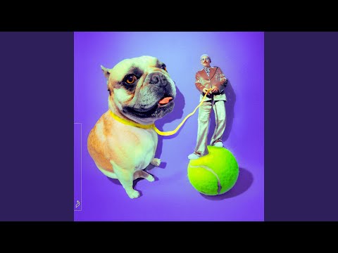 Video thumbnail for French Bulldog