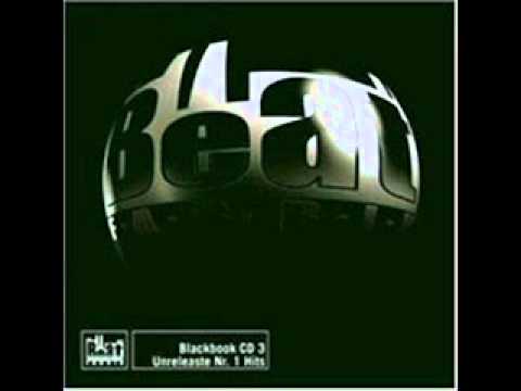 Beatfabrik - 14 Ihr Bitches.wmv