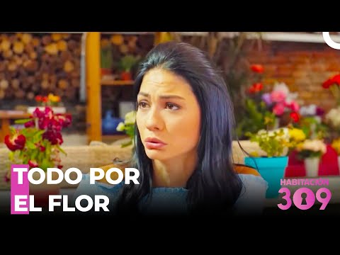 Solidaridad De Flor - Habitación 309 Capítulo 50