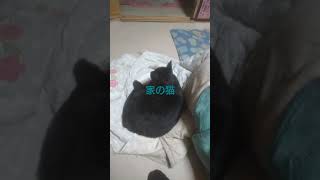 無視......