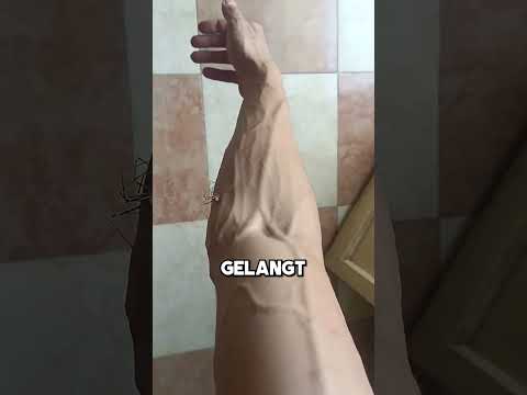 The Most Dangerous Spider in the World