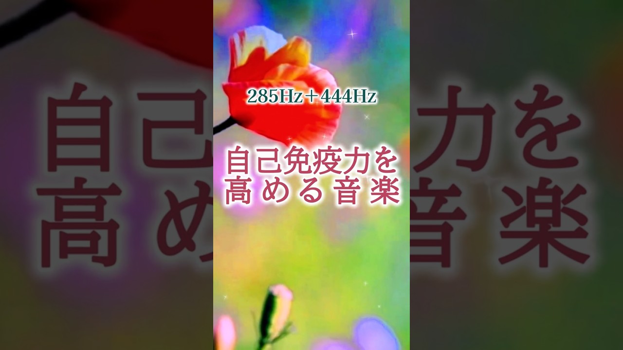 ｟自己免疫力を高める音楽｠#自律神経を整える#抗ウイルス#心身の安定