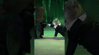 The Meowtrix: Cat vs Agent Cat #CatLogicTV