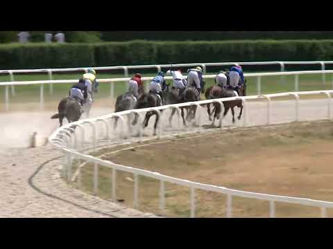 2022.07.24. 02. futam - NYERETLENEK VERSENYE (V.kat.) (szintetikus pálya)