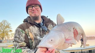 THIS HAS TO BE THE MOST CONTROVERSIAL CATFISH BAIT EVER!