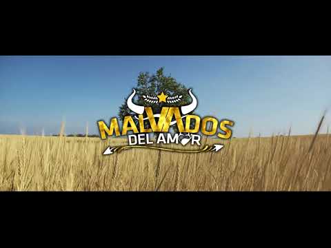 LOS MALVADOS DEL AMOR - MALDITO CUPIDO ( Estreno 2021 )