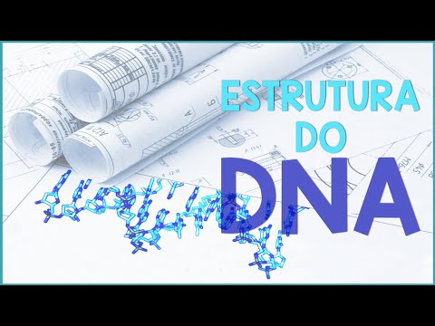 Everything you need to know about the structure of DNA