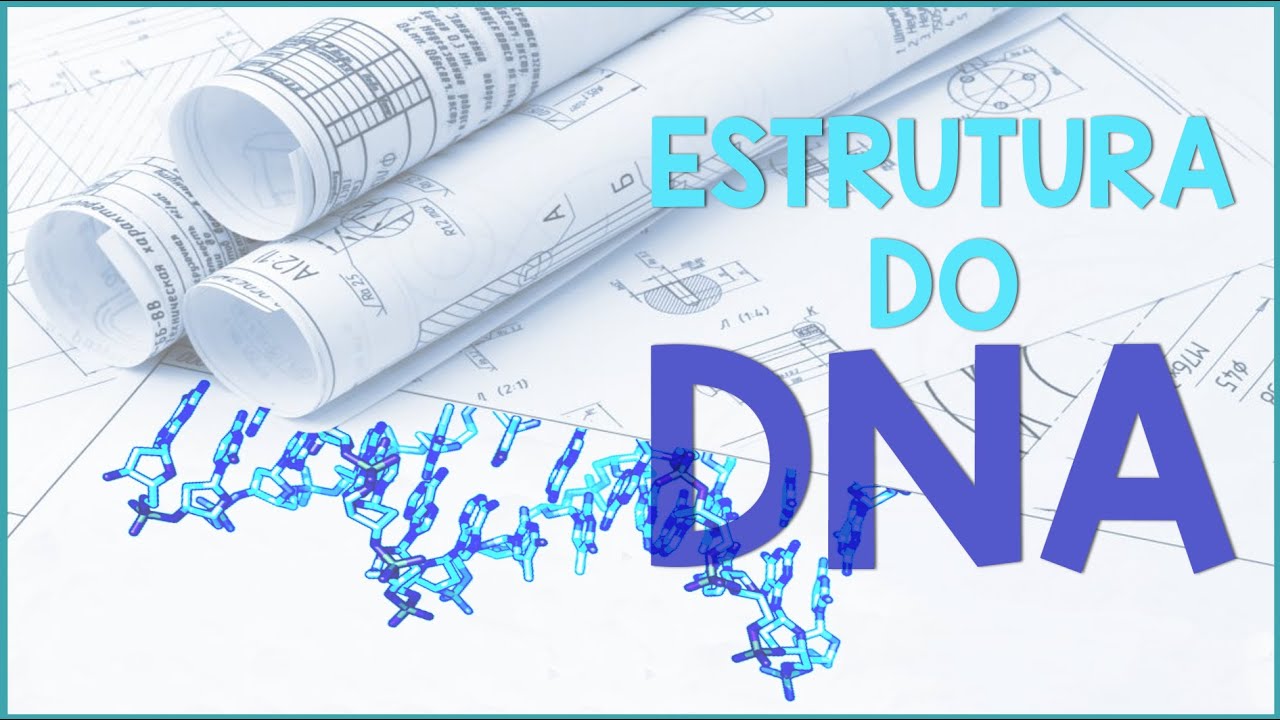 Tudo que você precisa saber sobre a estrutura do DNA