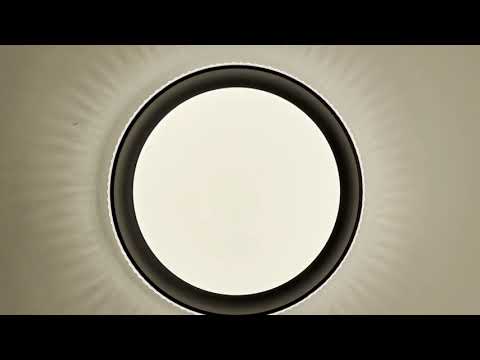 Миниатюра изображения товара Потолочный светильник Sonex Shiny 3049/DL (белый/черный)