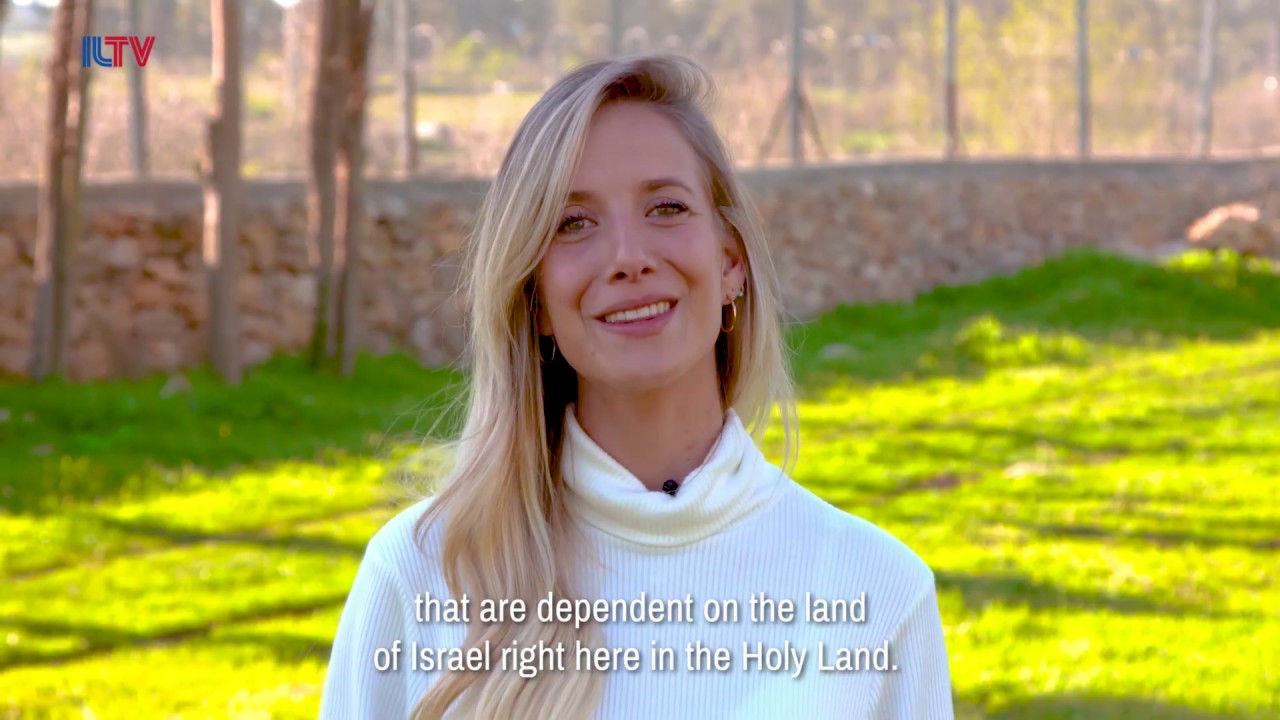Beit Bracha — the first seeds