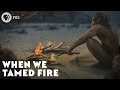 When We Tamed Fire