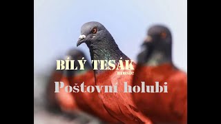 Video BÍLÝ TESÁK -  Poštovní Holubi