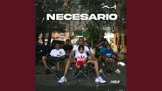 Necesario
