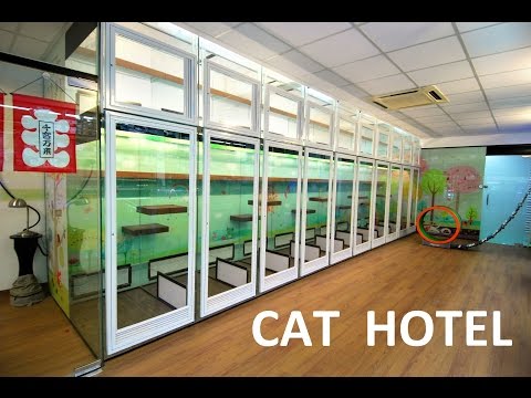 88 PETS MART [CAT HOTEL] Brand new concept (Petaling Jaya, Malaysia)