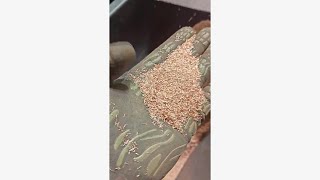 Kabelgranulator Gomine til udskillelse af kobber fra kabler ostala industrijska oprema | Slika 4 - Machineryline