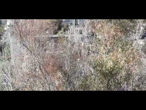 Mercedes SK and Volvo FH