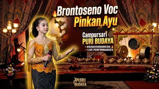 Download lagu Brontoseno Voc Pinkan Ayu Campursari PURI BUDAYA Live Sidem Gondang ~ Mina Jaya Audio  mp3