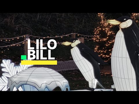 Lilo Bill Selects 27: Trance & Progressive