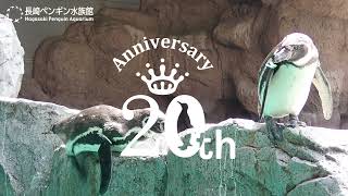 クラウドファンディングプロジェクト：長崎ペンギン水族館 開館20周年記念これまでの「ありがとう」を皆様へ届けたい！
