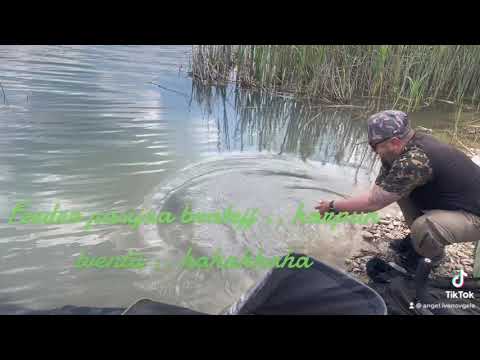 Bratejj feeder pasijaa ,, babba ,, hahahah