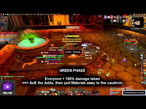 ★ WoW Raid - Maloriak 10 (Kill & How to!) - Blackwing Descent - TTB + TGN