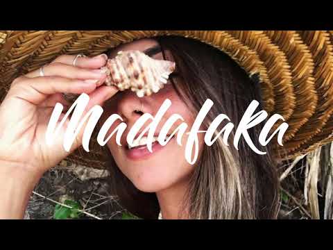 ANAO - ( DR STEEVE x LOCKSIDE )