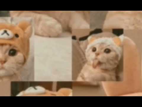 14 de octubre de 2025