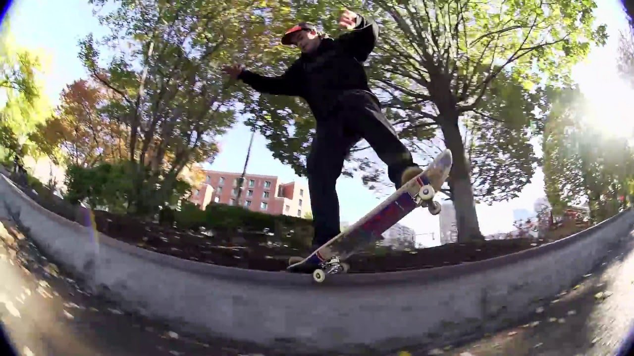 Gavin Nolan: 'Ivy League'