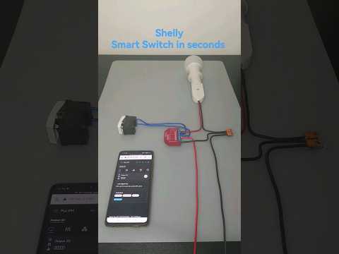 Shelly Plus 1 PM Smart Home #smarthome #shelly #alexa