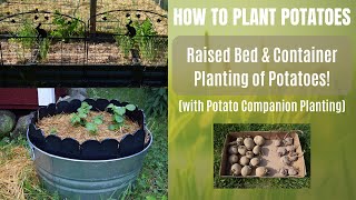 How to Plant Potatoes | Grow Your Own Potatoes in Raised Beds & Containers | with Companion Planting