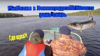 Ловля щуки в устье свири