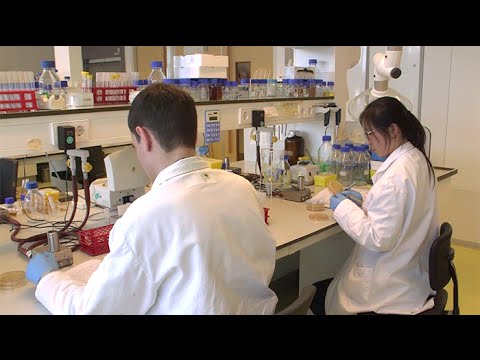 Kuipers Prof Oscar Press Information University Of Groningen