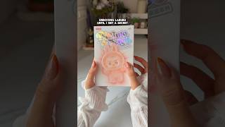 Labubu Big Into Energy Unboxing