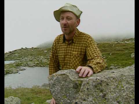 Die Entstehung unserer Böden